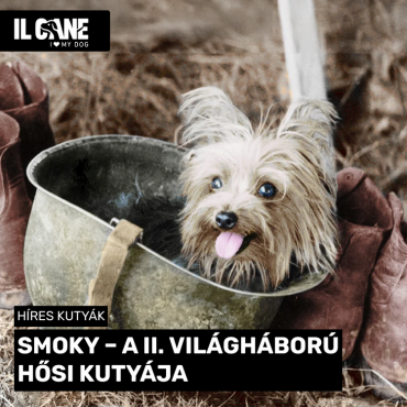 Smoky – A második világháború hősi kutyája 