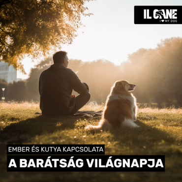 Boldog barátság világnapját kívánunk! 